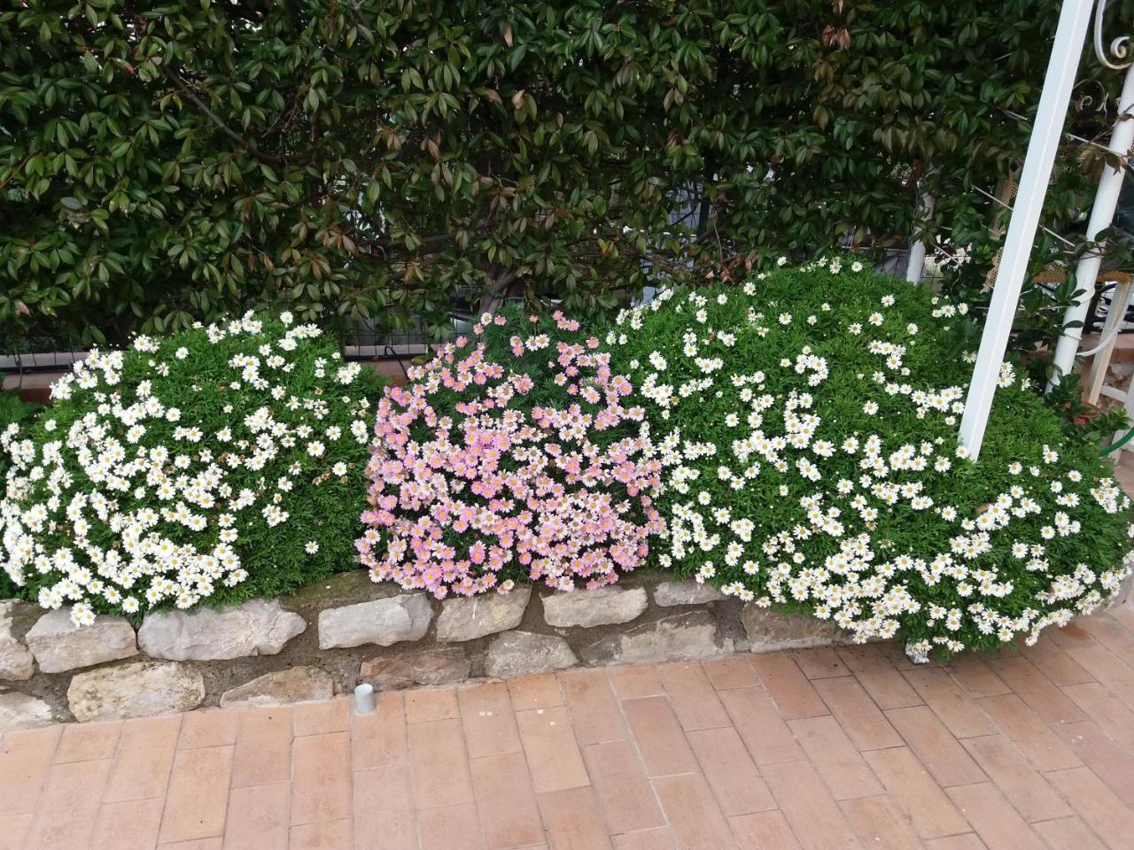 Garden On The Sea Bed & Breakfast Вико Екуензе Екстериор снимка